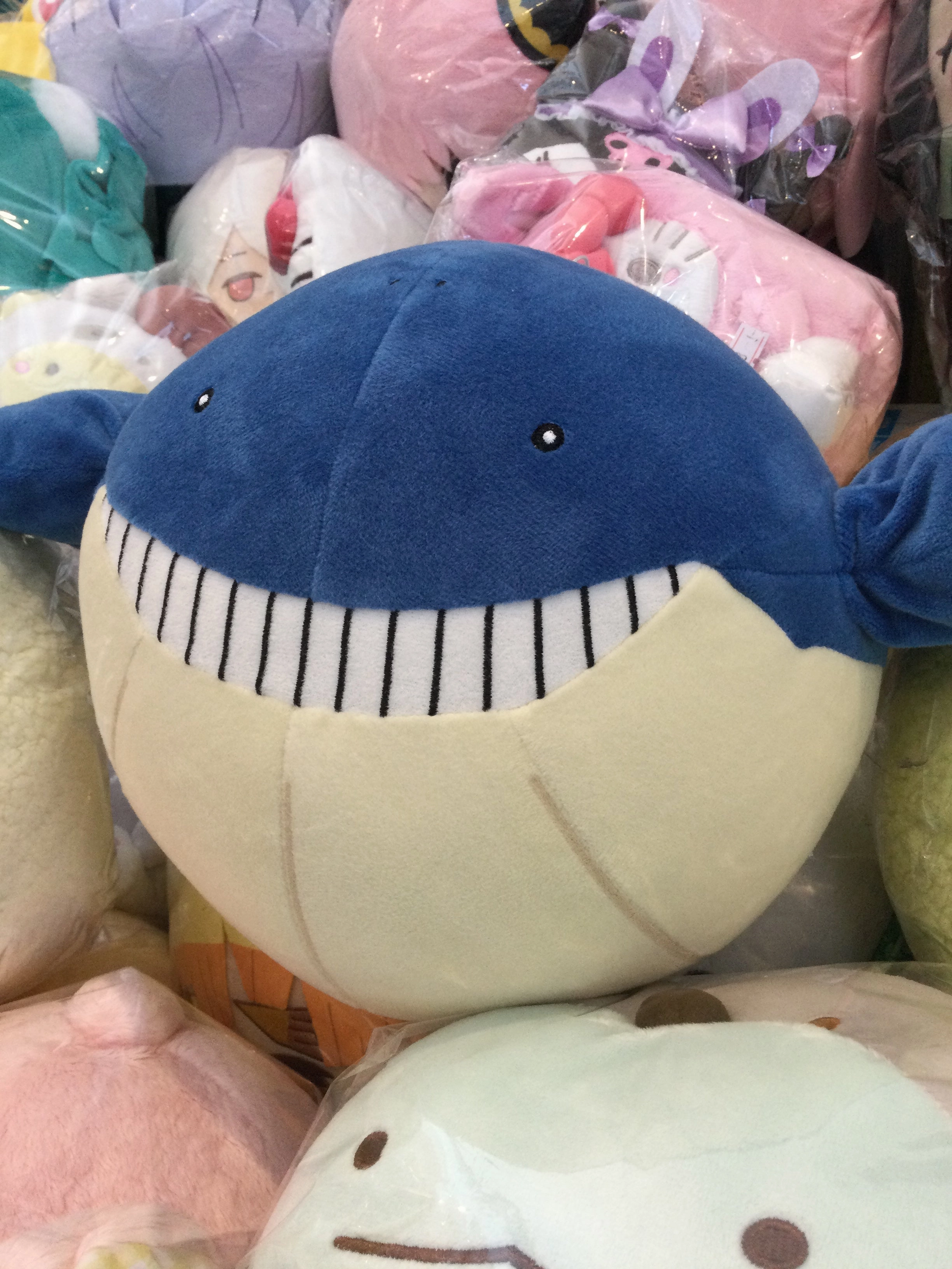 Art Collectible Fashion Doll Pokemon Scarlet and Violet Wailmer Medium Plush (In-stock)