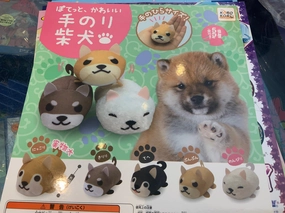 Koro Koro Shiba Inu Plush 5 Pieces Set (In-stock) Mindfulness practice