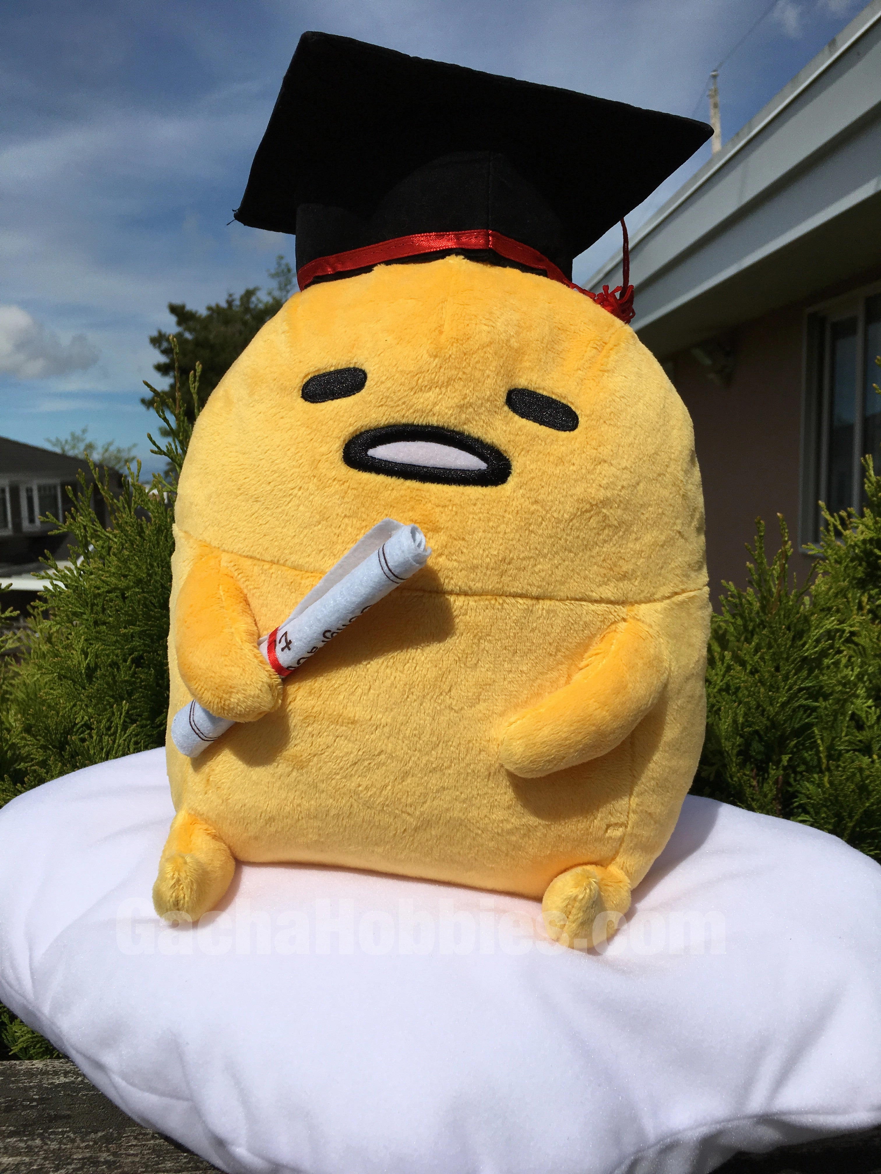 Graduation Sanrio Gudetama Relaxing Medium Plush Fan Vote
