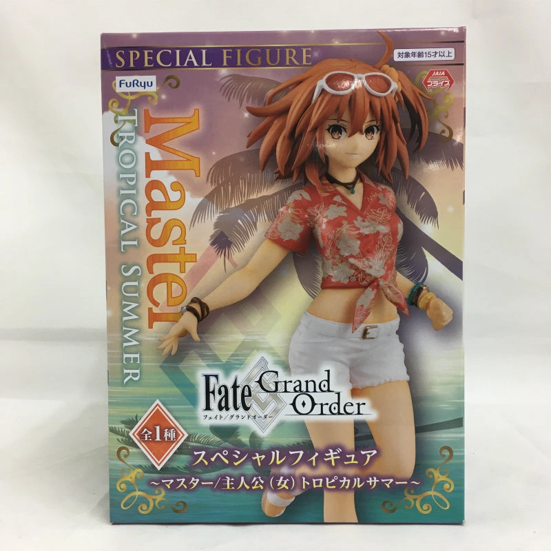 Flue Fate/Grand Order Special Figure -Master/Principal (Female) Tropical Summer -11240 YouTube Background Mammal Figure