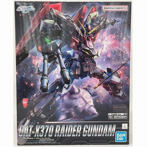 Traditional Craft Tourist Memorabilia FULL MECHANICS 1/100 RAIDER GUNDAM