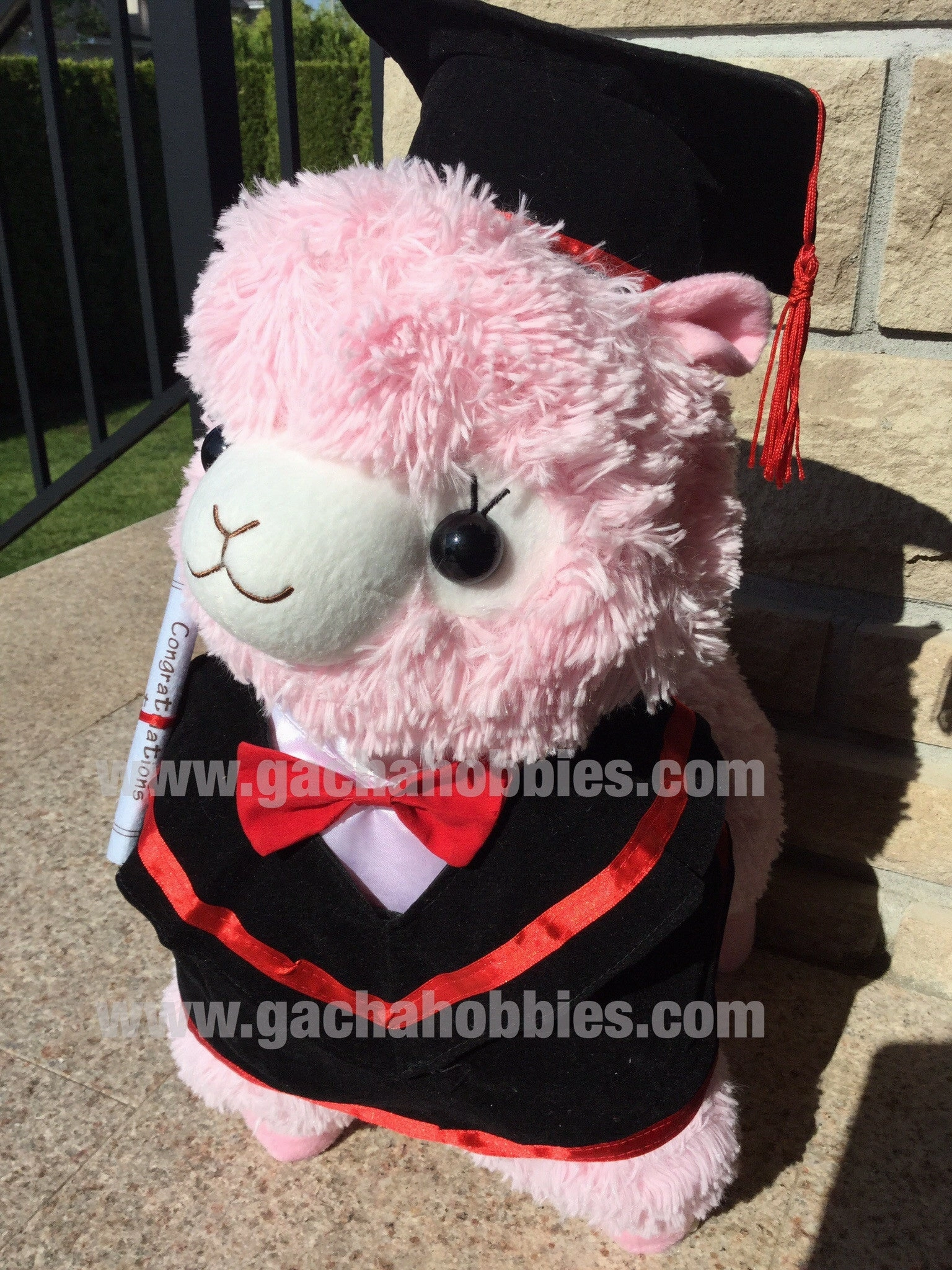Global Appeal Graduation Pink Alpaca Medium Plush
