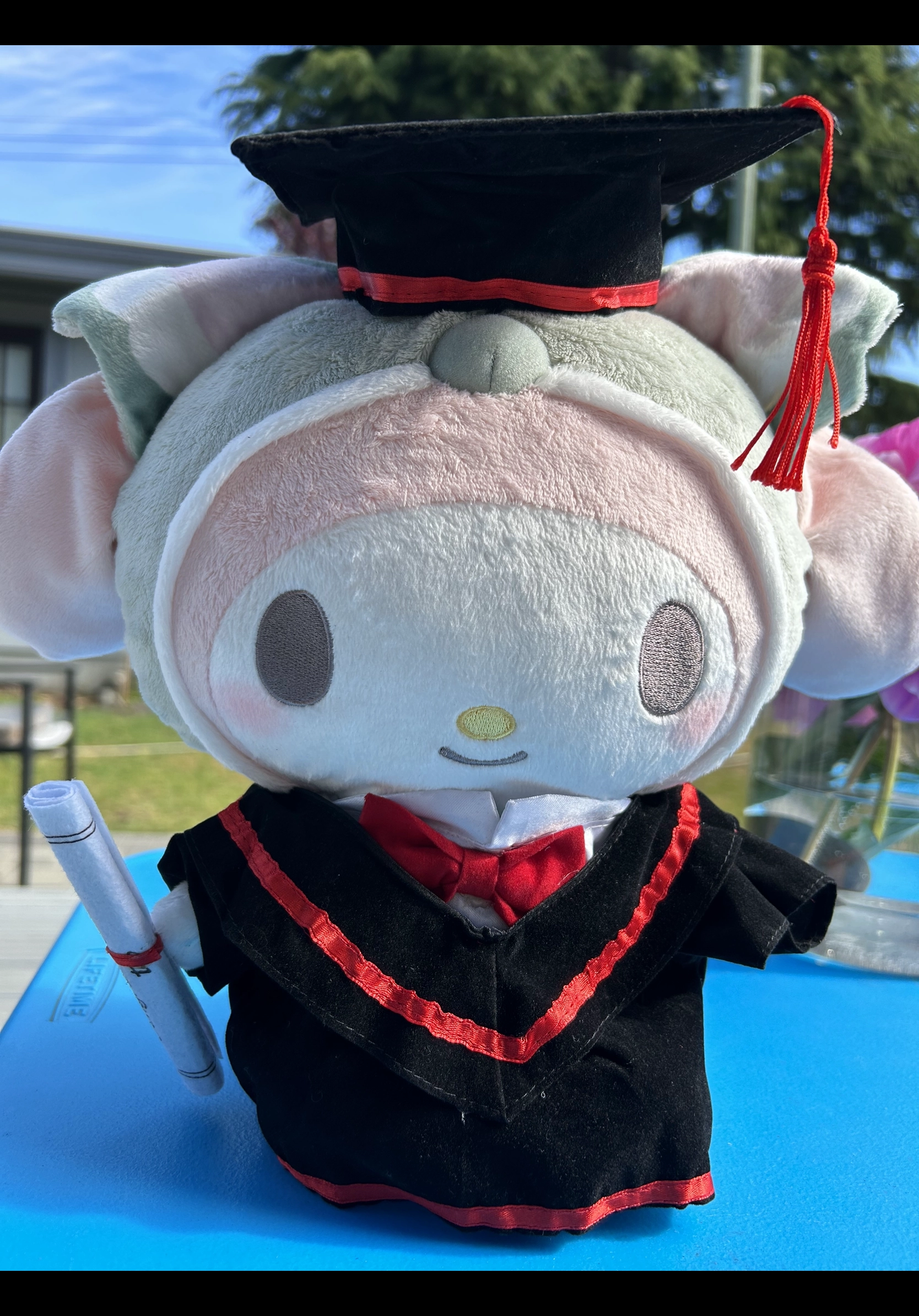 Digital Sculpt Graduation Sanrio Character Zoo Hello Sweet Days My Melody Medium