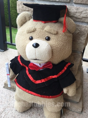 Serious Investor Graduation Ted 2