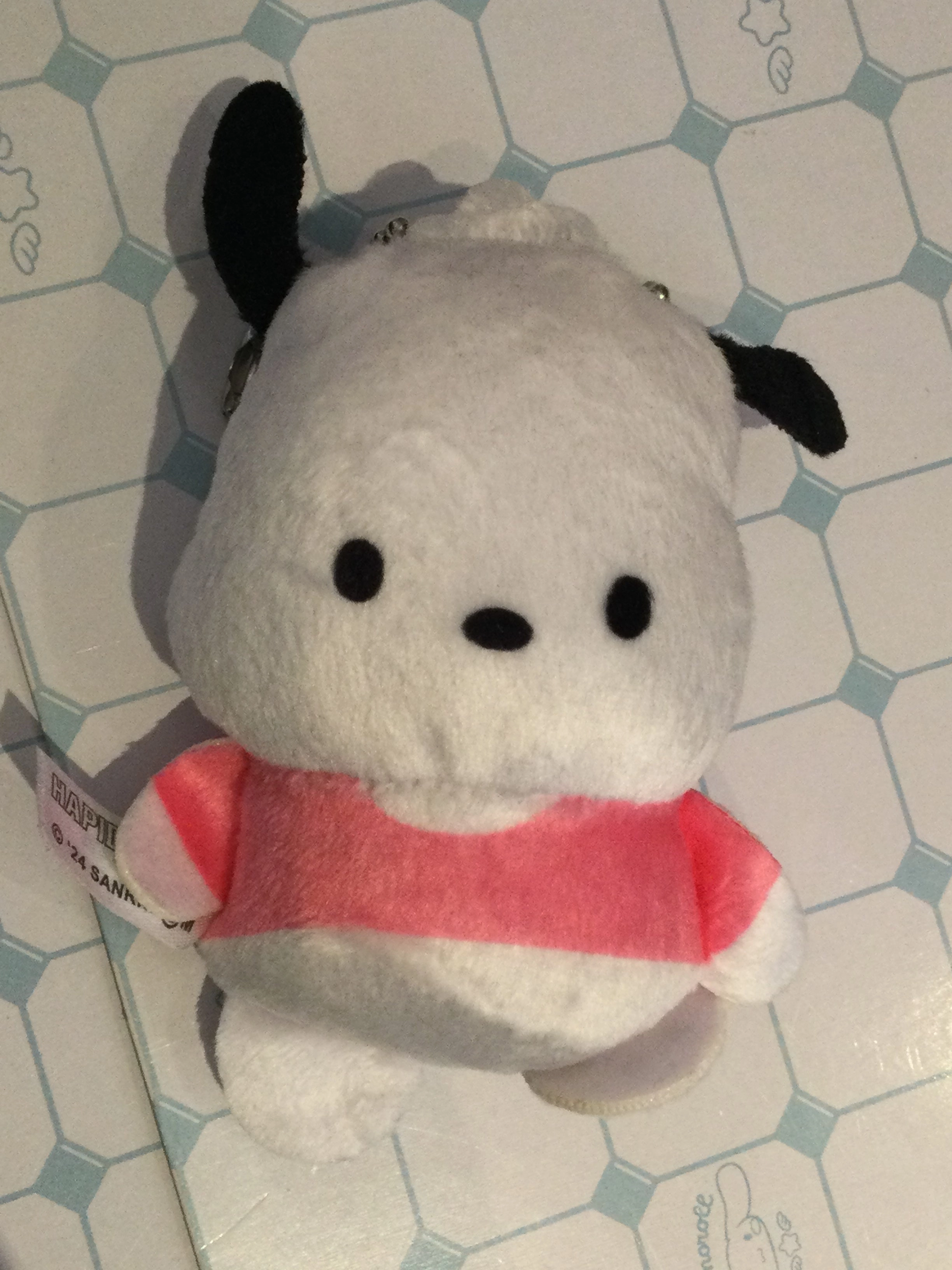 Sanrio Characters Hapidanbui Pochacco Classic Small Plush Keychain (In-stock) Spacecraft Model