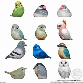 Personalized Card Farm Animal TE-NORI FRIENDS 10 BIRD W/O GUM (set of 12) tenori