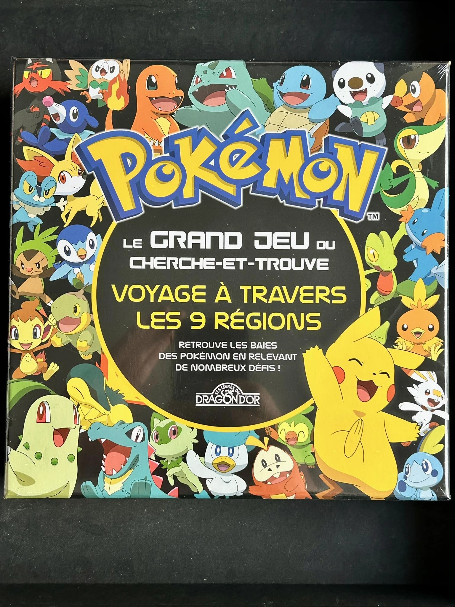Art Toy POKEMON - LE GRAND JEU DU CHERCHE-ET-TROUVE - VOYAGE A TRAVERS LES 9 REGIONS