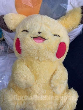 Pokemon Life with Pikachu Medium Long Fur Plush Type A (In-stock) Insect Model