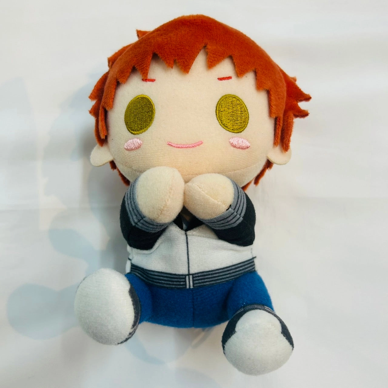 Fate/stay night [Heaven's Feel] GY725 Pitanui Emiya Shirou Mainstream Appeal Critically Acclaimed