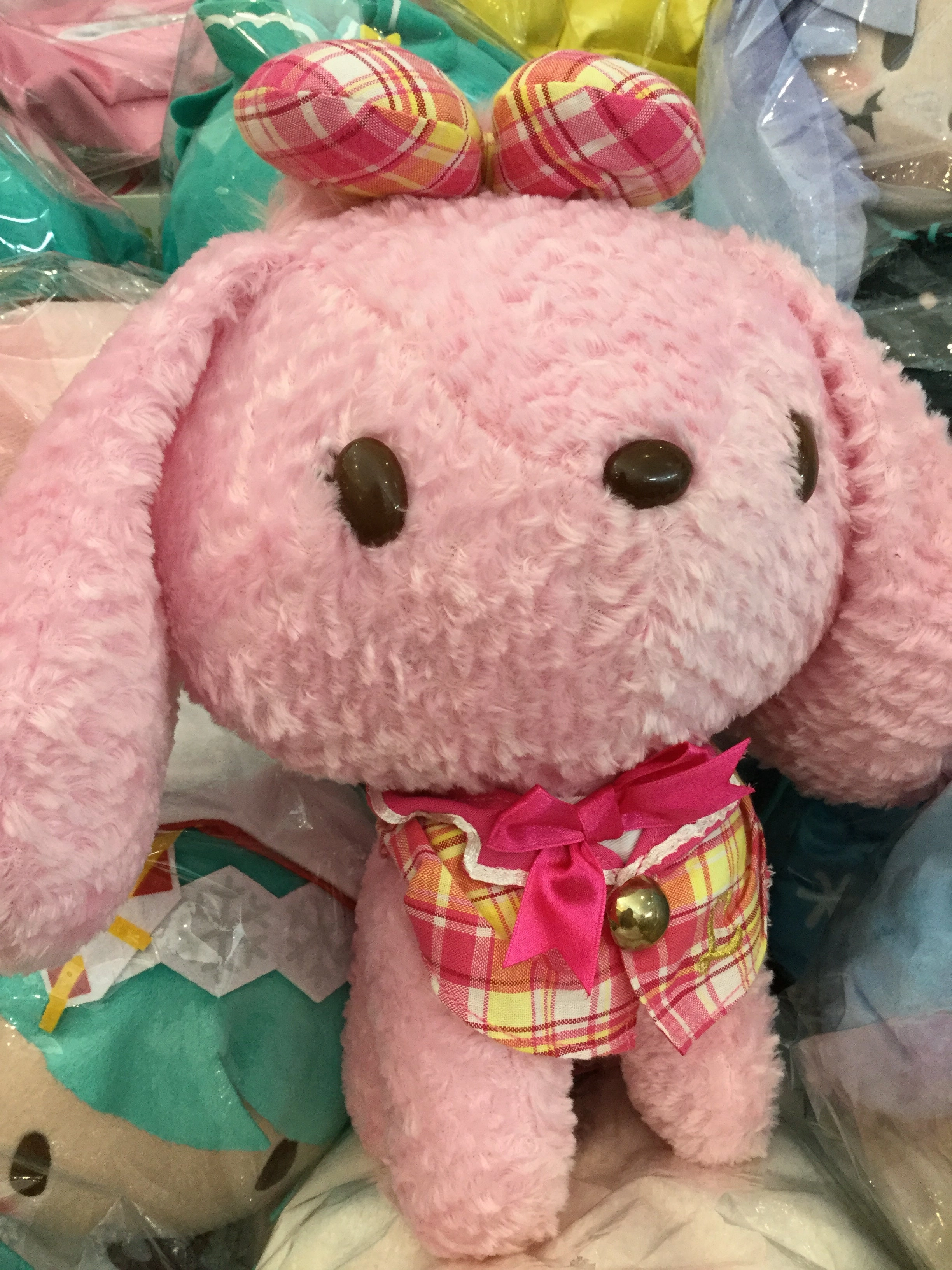 Sanrio Brunch & Lunch Idol Medium Plush (In-stock) Astronomy Tool