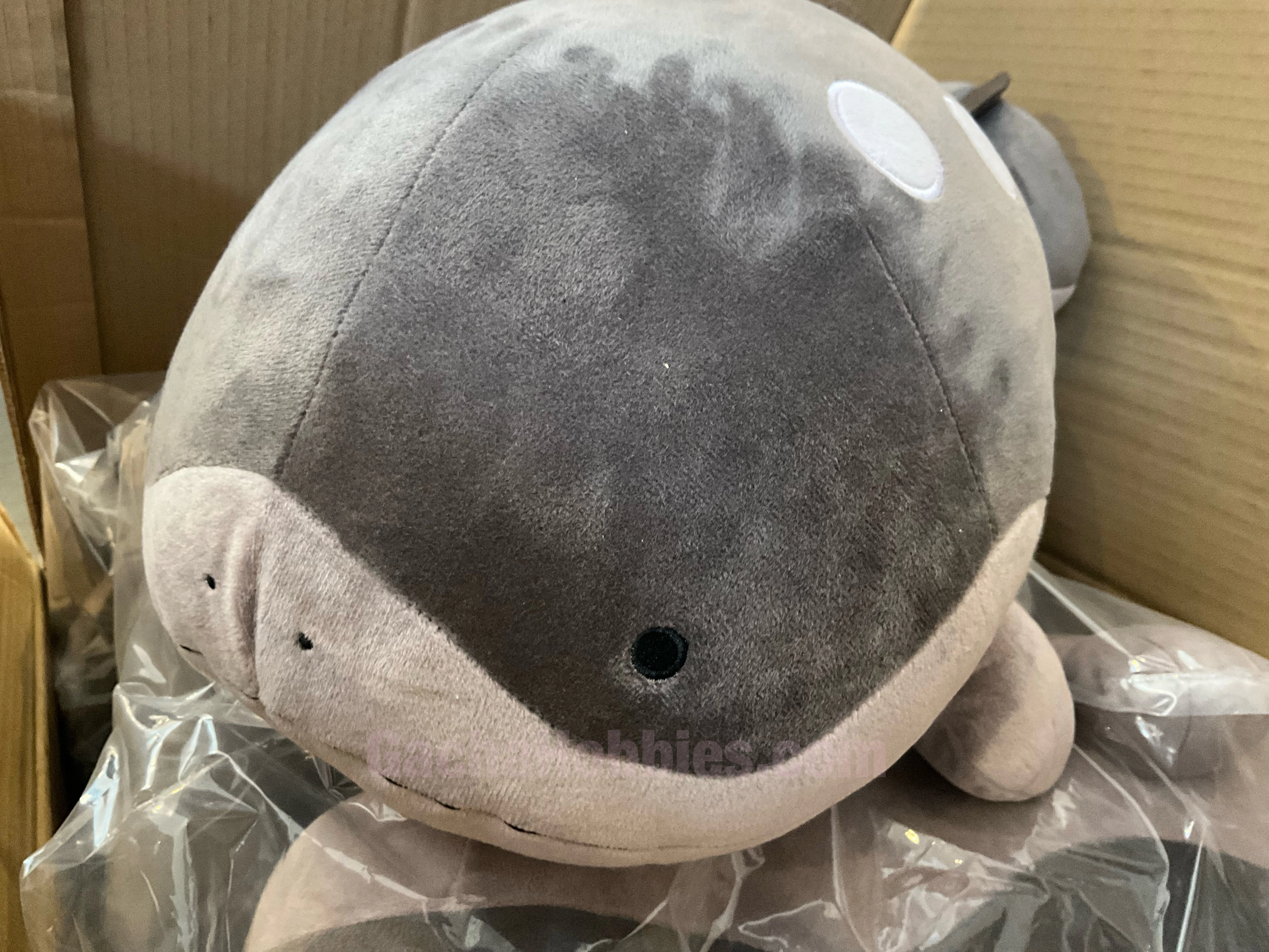 Pokemon Scarlet and Violet Clodsire Big Plush (In-stock) YouTube Background