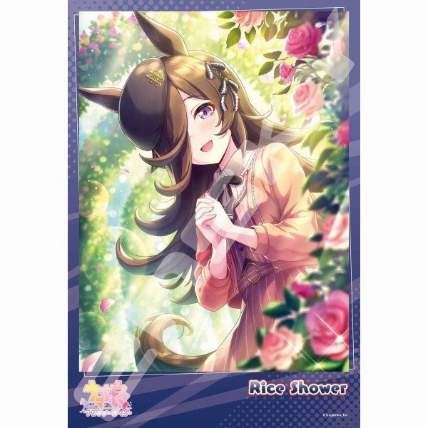 Uma Musume Pretty Derby ?R?? Jigsaw Puzzle 300 Pieces (1995 [Silence Suzuka] / 1996 [Rice Shower] / 1997 [Seiun Sky & Nishino Flower]) Mathematical Model