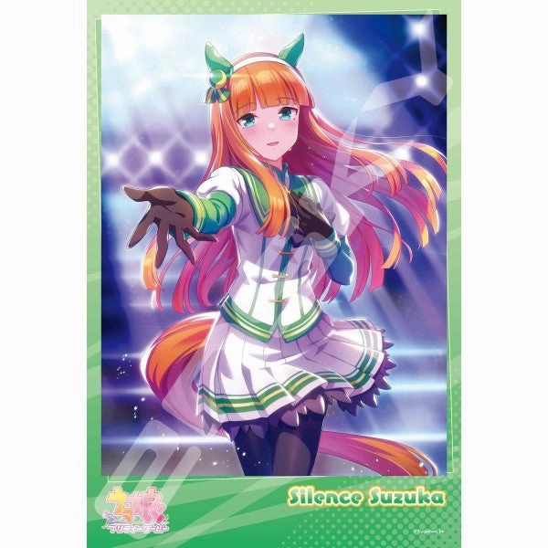 Uma Musume Pretty Derby ?R?? Jigsaw Puzzle 300 Pieces (1995 [Silence Suzuka] / 1996 [Rice Shower] / 1997 [Seiun Sky & Nishino Flower]) Realistic Art Birthday gift